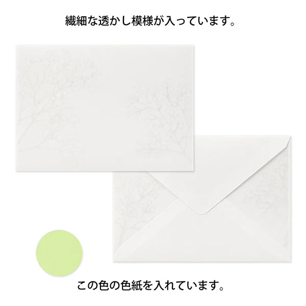Midori Baby's Breath / Gypsophila Envelope