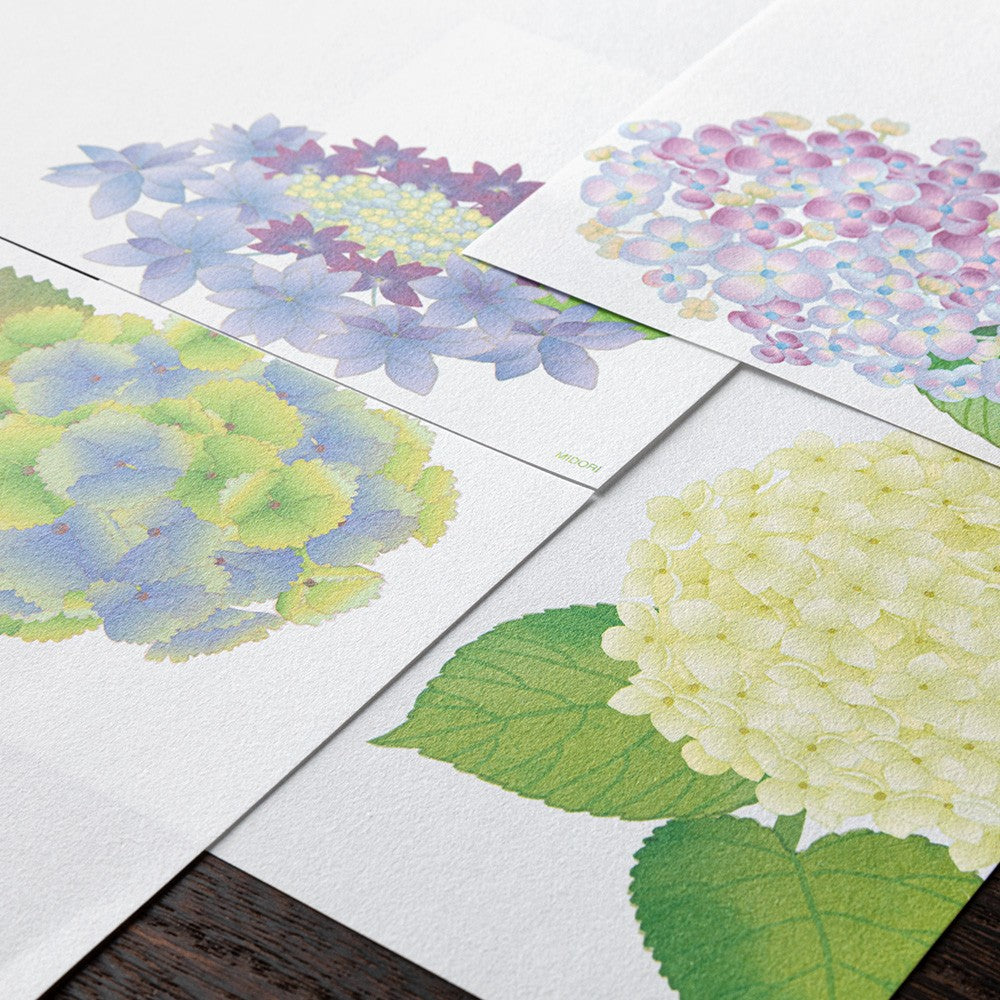 Midori Letter Pad 165 Four Designs Hydrangea