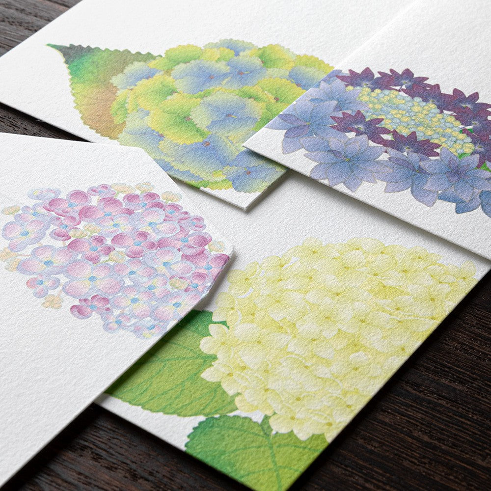 Midori Envelope 166 Four Designs Hydrangea