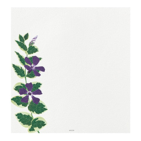 Midori Letter Pad 169 Four Designs Summer Flower S4