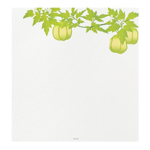 Midori Letter Pad 169 Four Designs Summer Flower S4