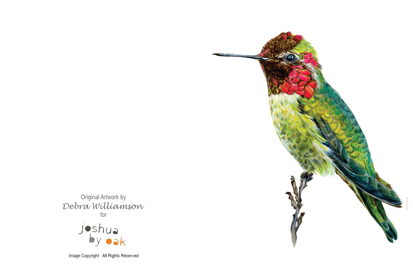 Anna's Hummingbird Greeting Card