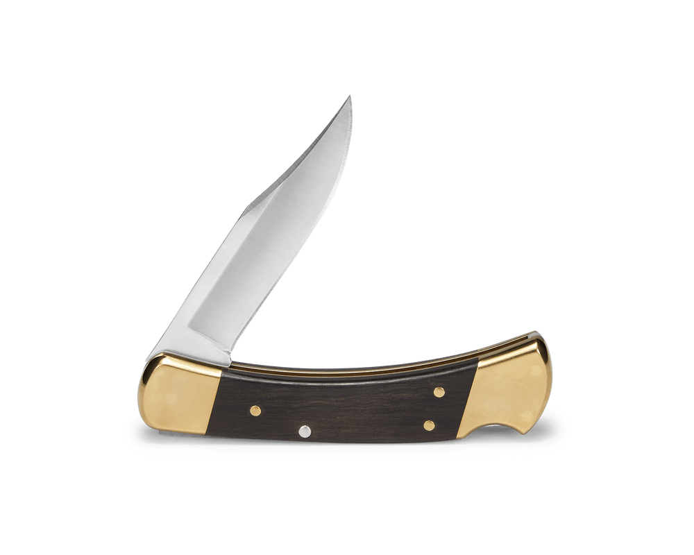 Buck Knives 110 Folding Hunter Back Lock Knife
