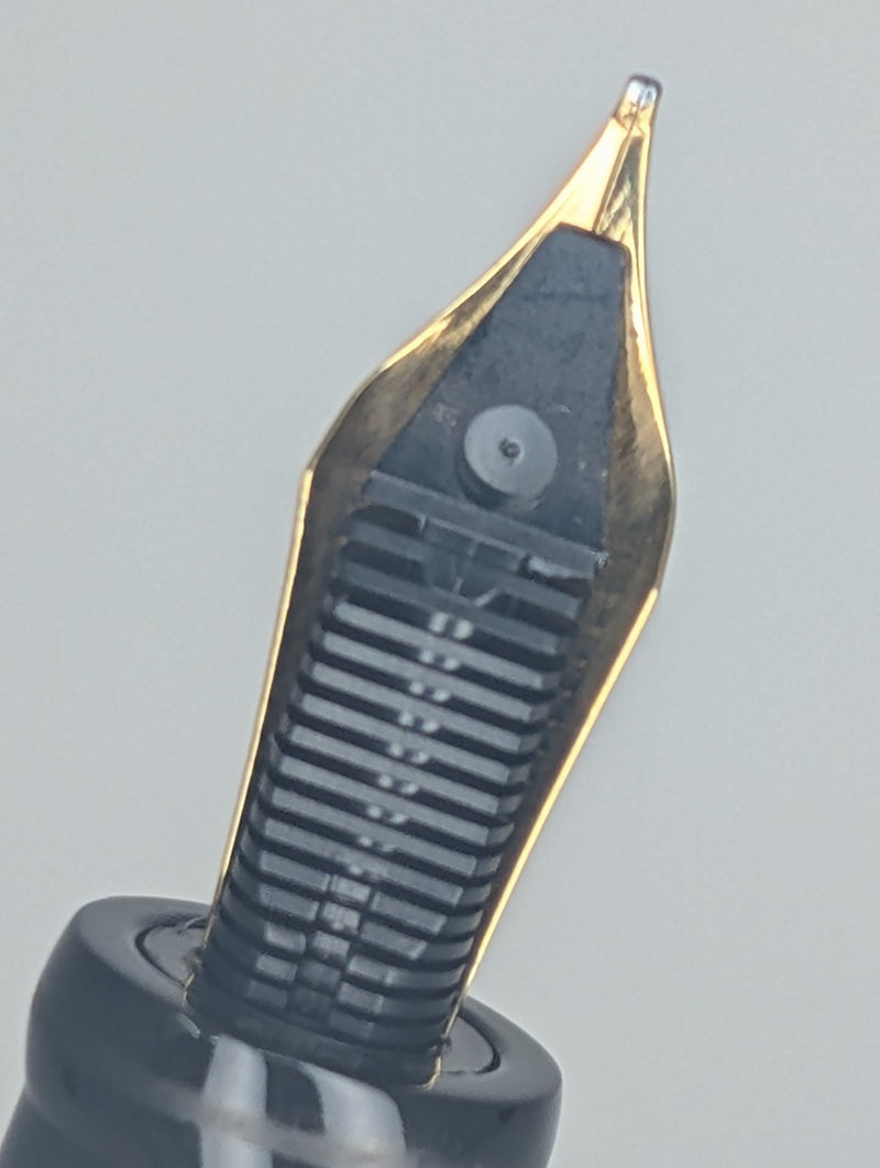 *Consignment* Delta Limited Edition "Fall" Windows Demonstrator Fountain Pen 18k Gold Medium Nib