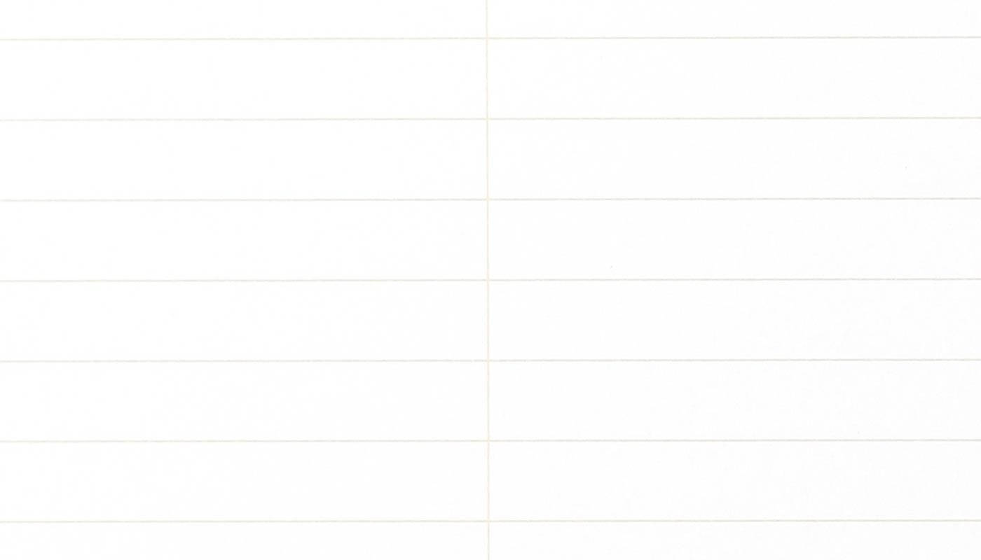Field Notes 80 Page Steno Book