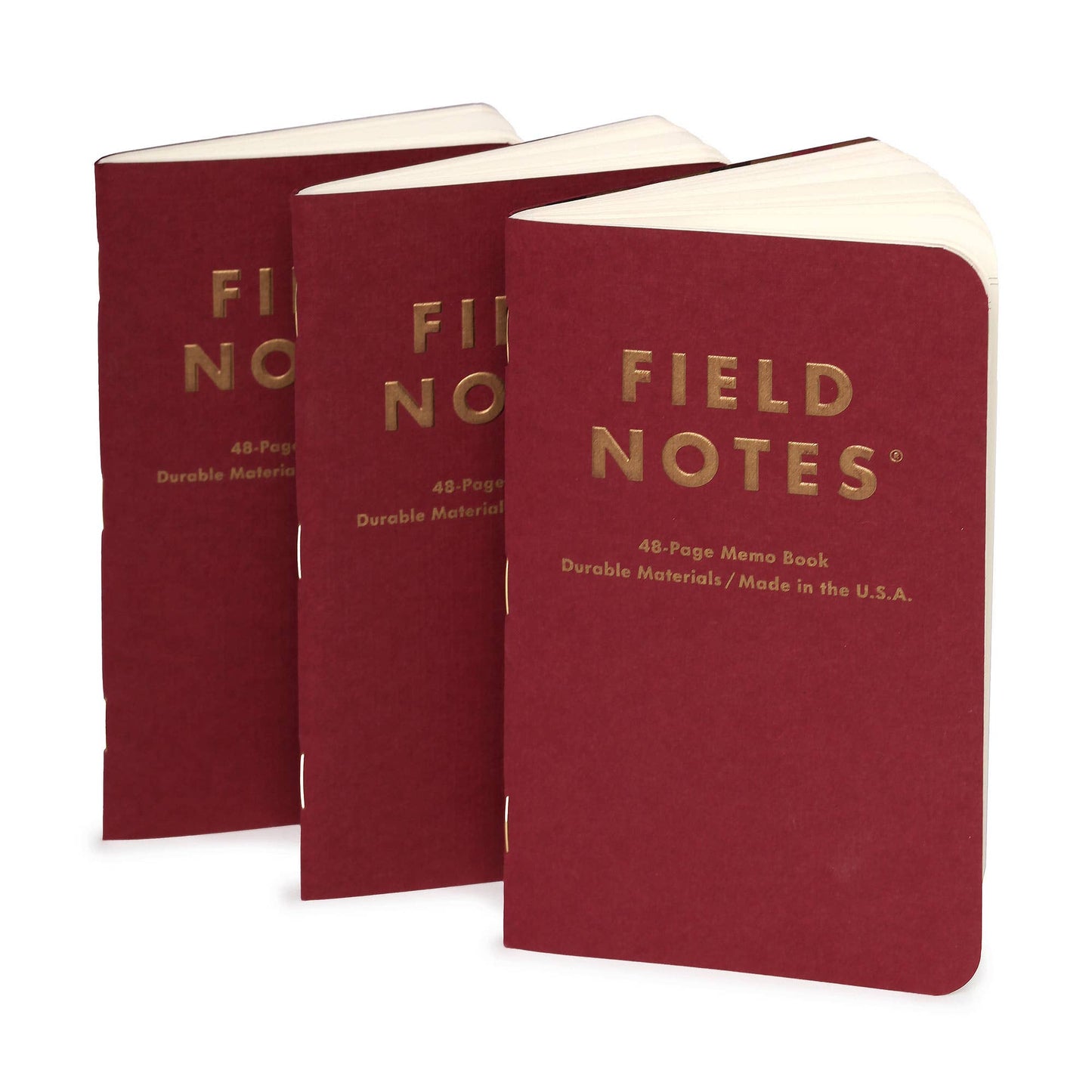 Field Notes Vintage Dot Ruled Memo Book