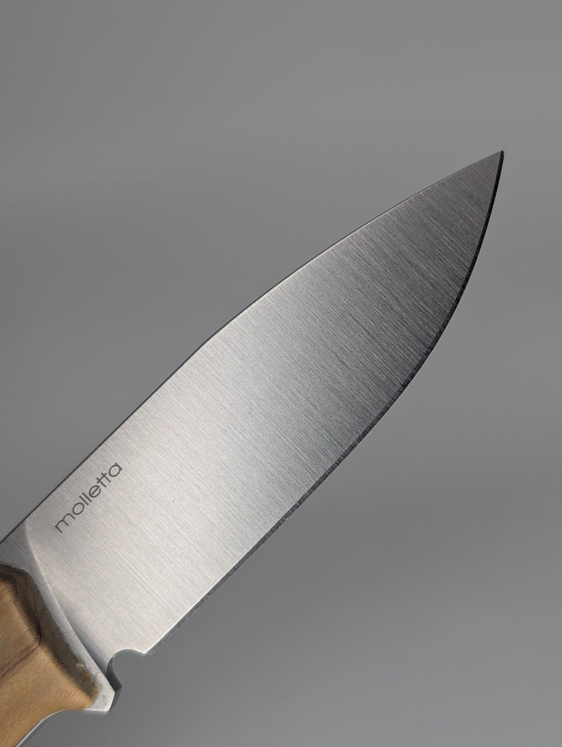 *Consignment* Lionsteel M4 Olive Wood Fixed Blade Knife