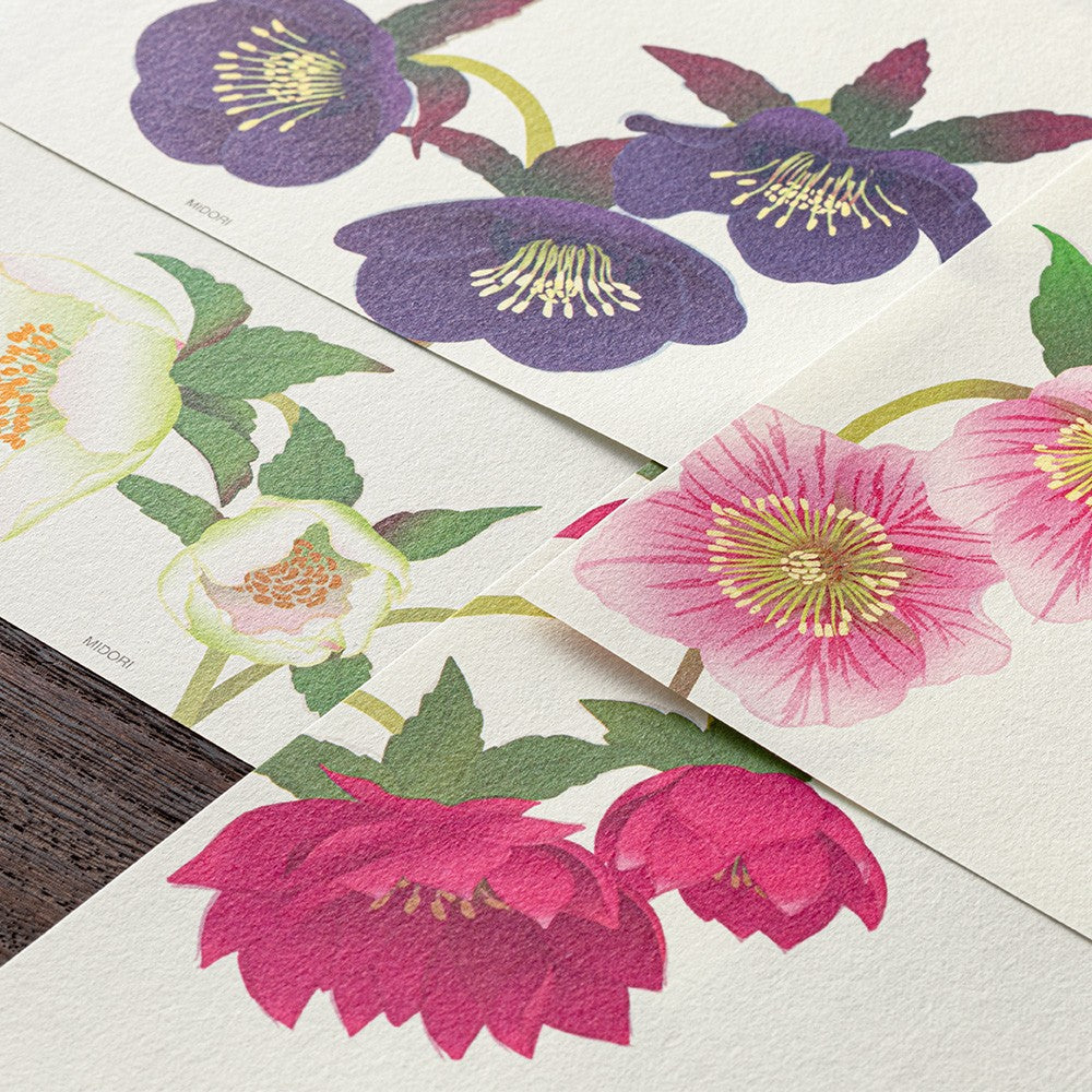 Midori Letter Pad 149 Four Designs Christmas Rose