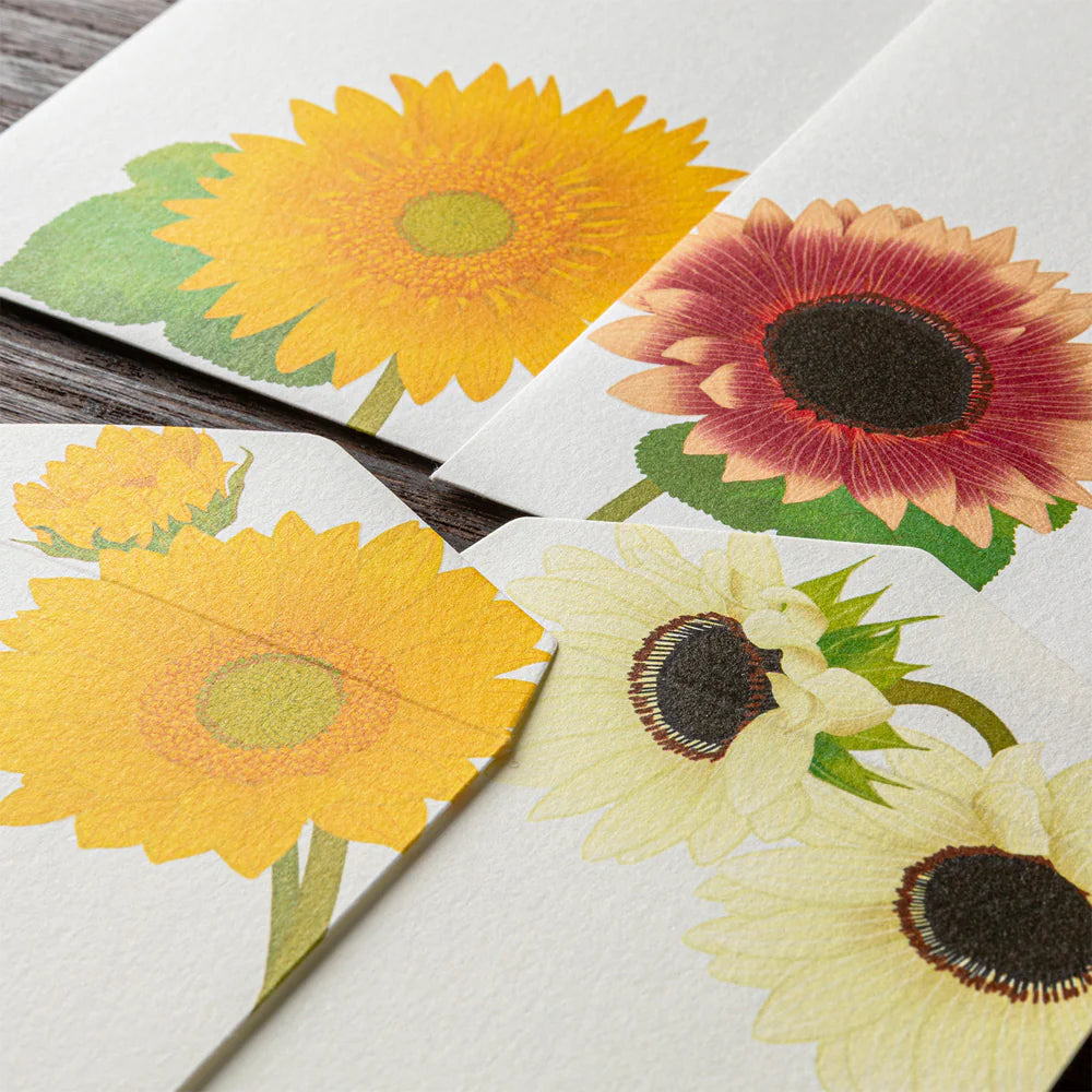 Midori Envelopes - Four Designs Sunflower