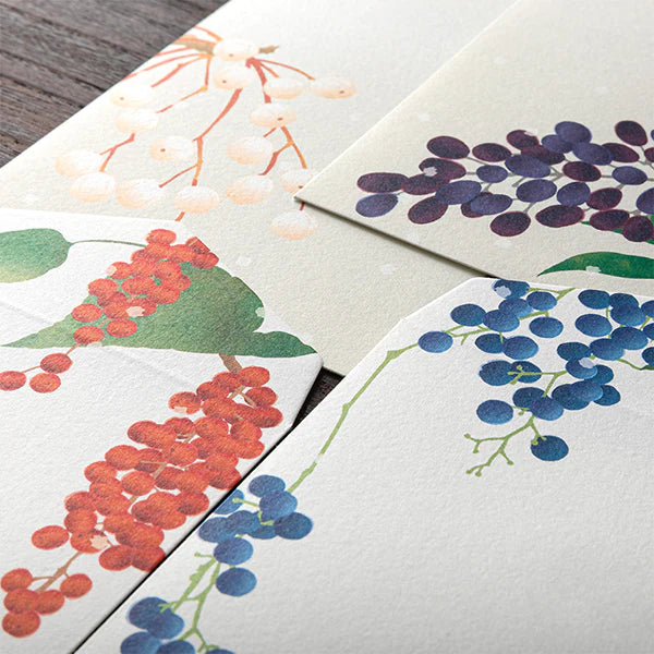 Midori Envelopes - Four Designs Winter Fruit