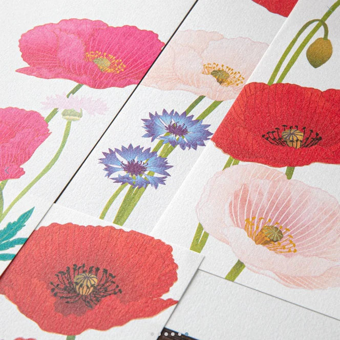 Midori Letter Pad - Four Designs Poppy
