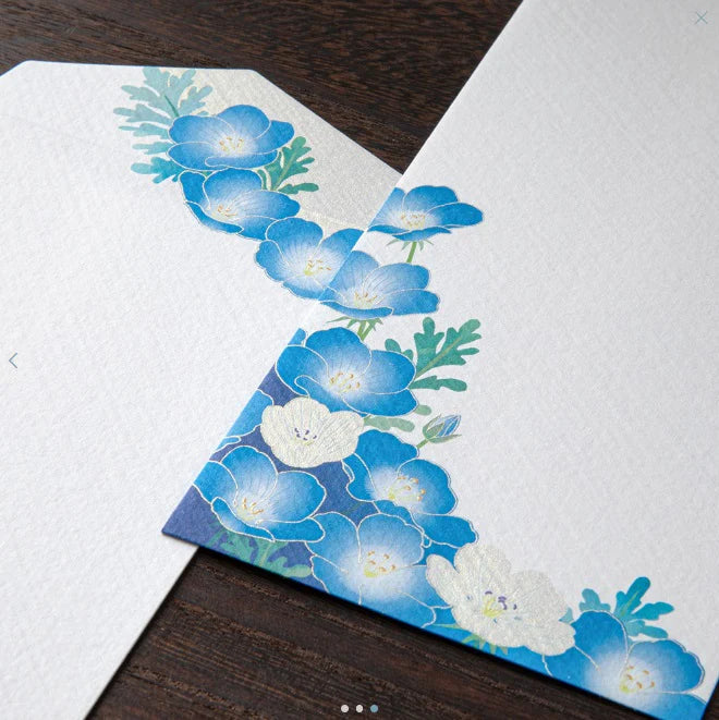 Midori Envelopes - Silk-printing Nemophila