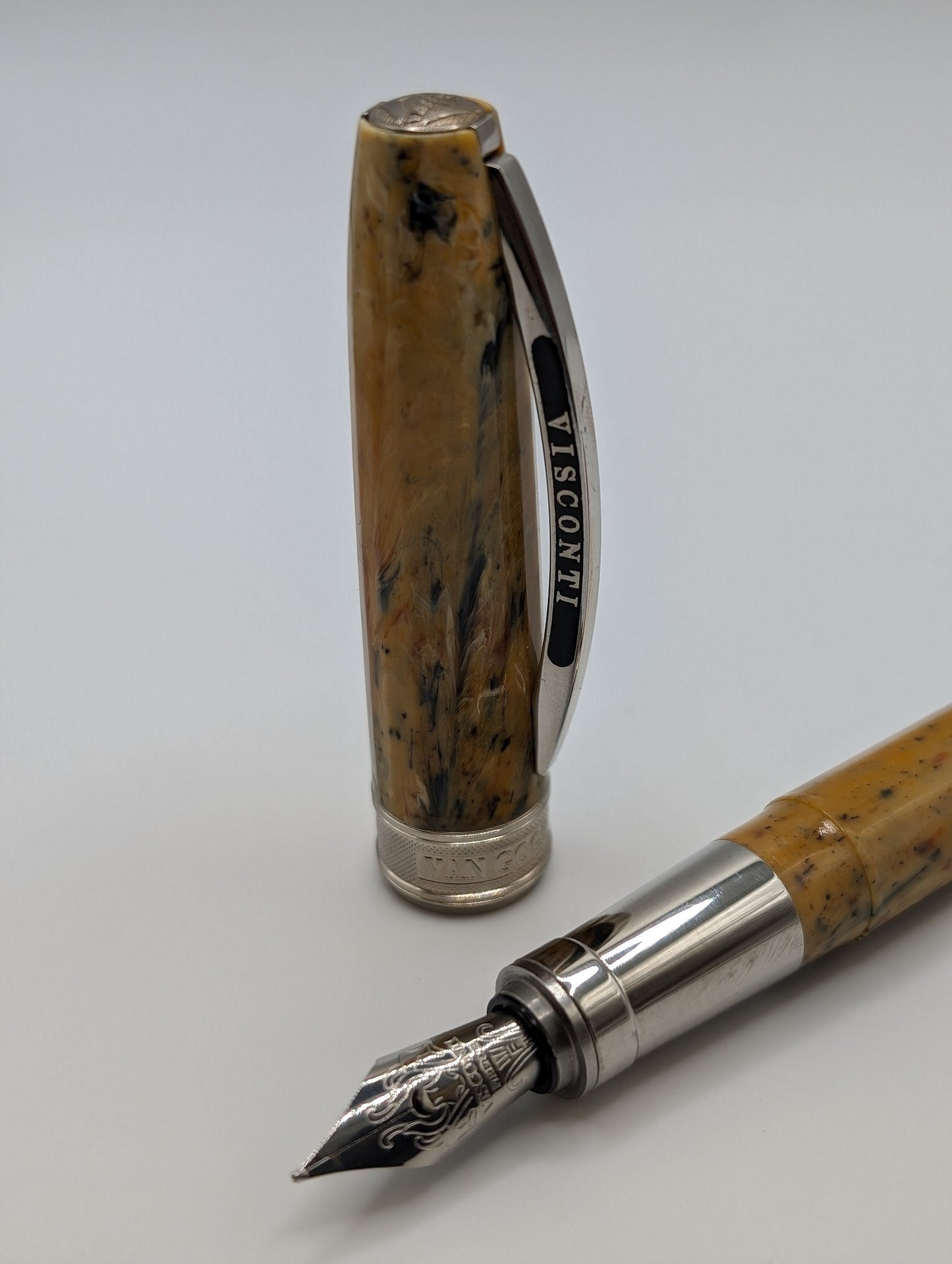 Visconti Van Gogh 125 Year Anniversary Shoes Fountain Pen Medium Nib