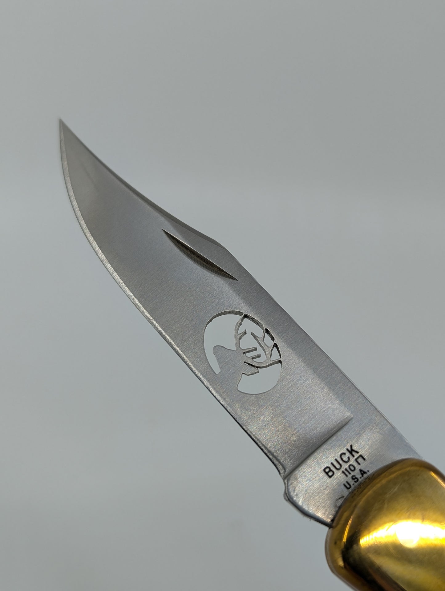 Buck Knives Model 110 Sambar Stag Horn Backlock Folding Knife
