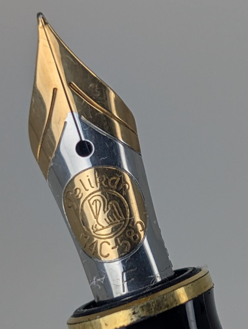 Pelikan-M750-Jubilee-Silver-Fountain-Pen-Nib