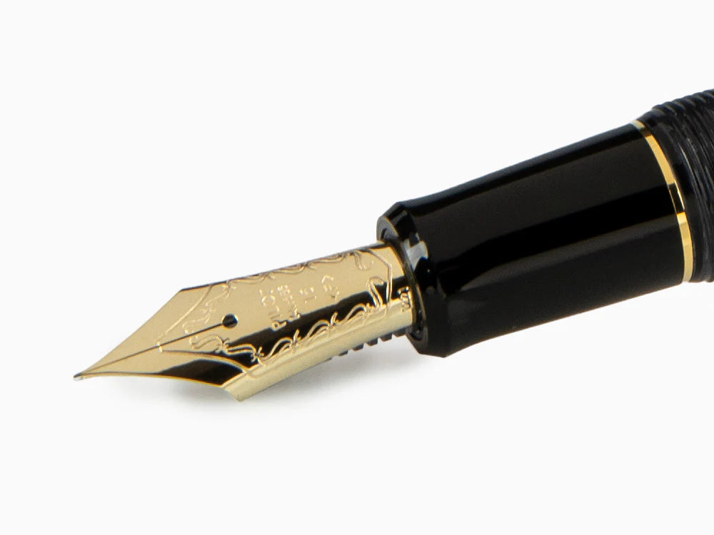 Pilot Custom 823 Black Smoke Fountain Pen