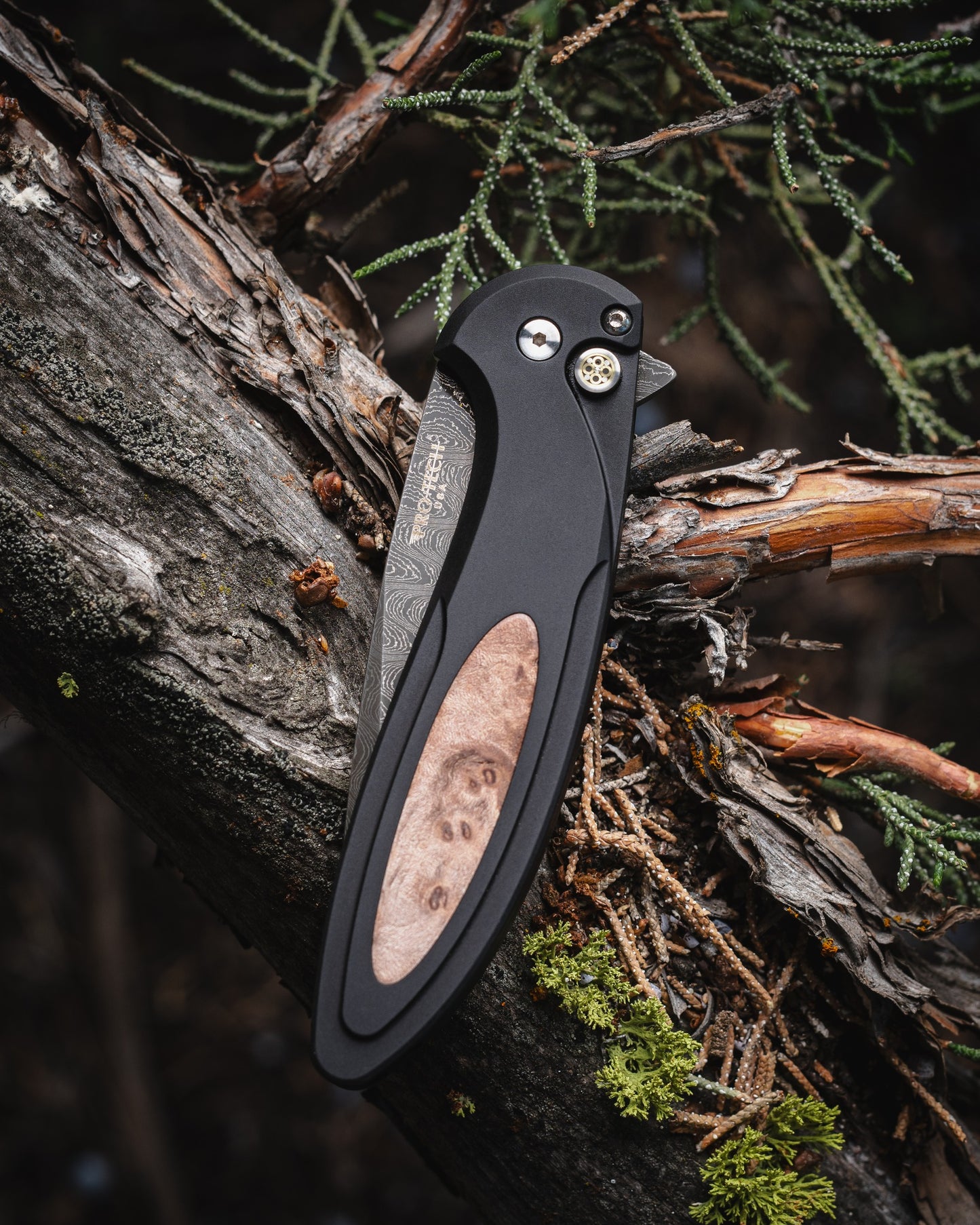 Protech Cambria Custom 5 Button Lock Maple Burl Inlay Chad Nichols Damascus #31/50