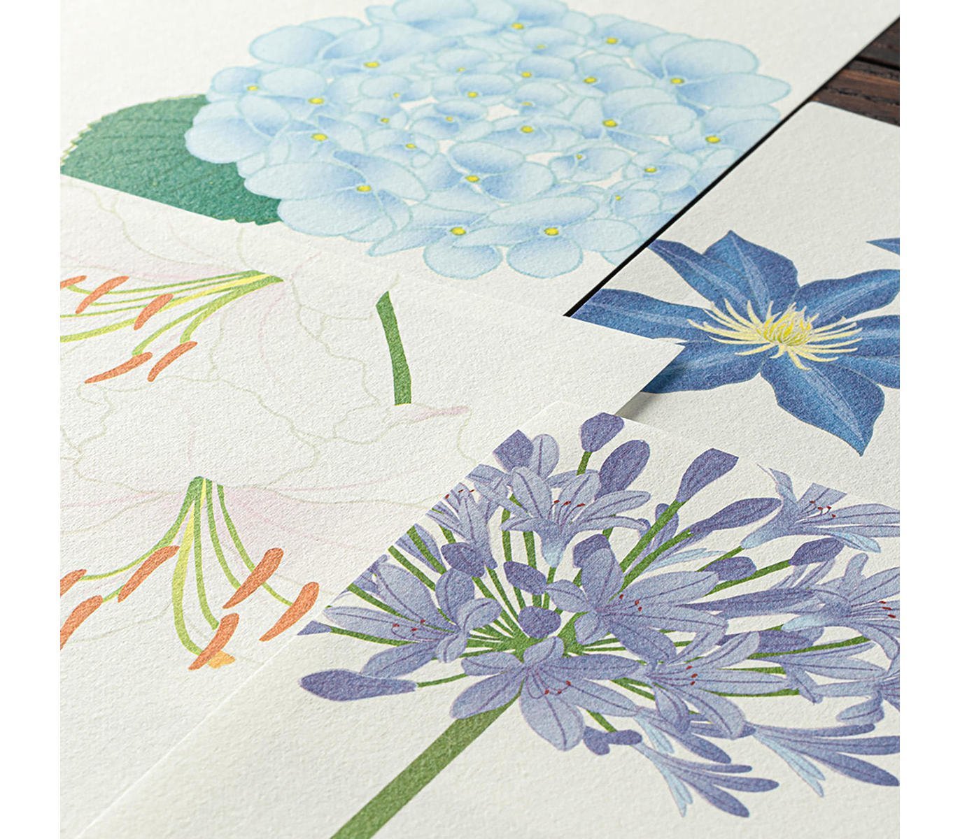 Midori Letter Pad 133 Four Designs Summer Flowers