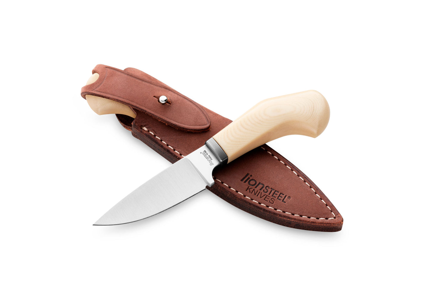 LionSTEEL WILLY Compact EDC Fixed Blade Knife, Solid Handle Construction, Titanium Guard, M390 Steel Blade, Made in Italy (White Micarta)