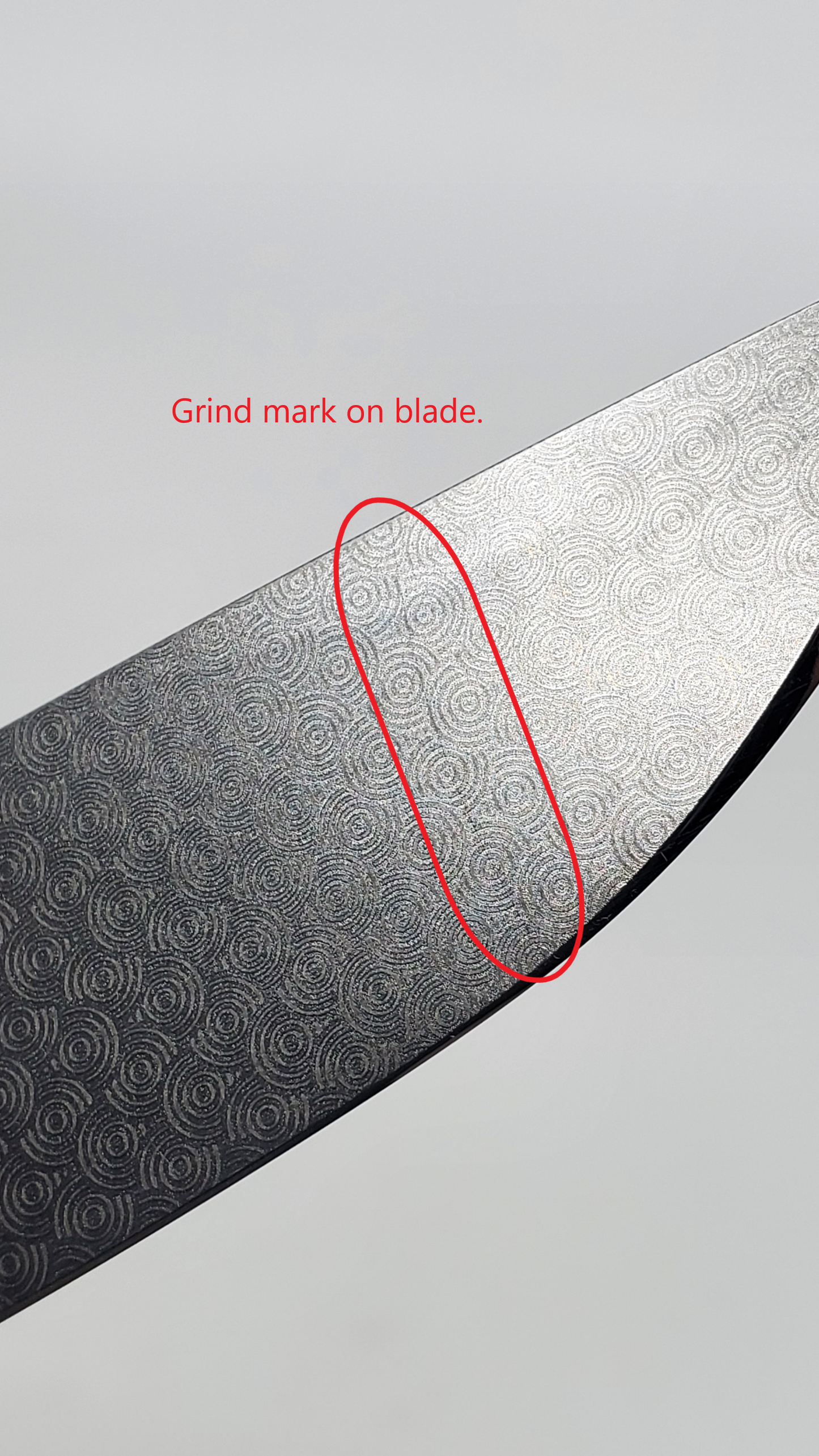 MachineWise Sonora Raw Ti (20CV | Titanium Bolster) #745 *Blemished*