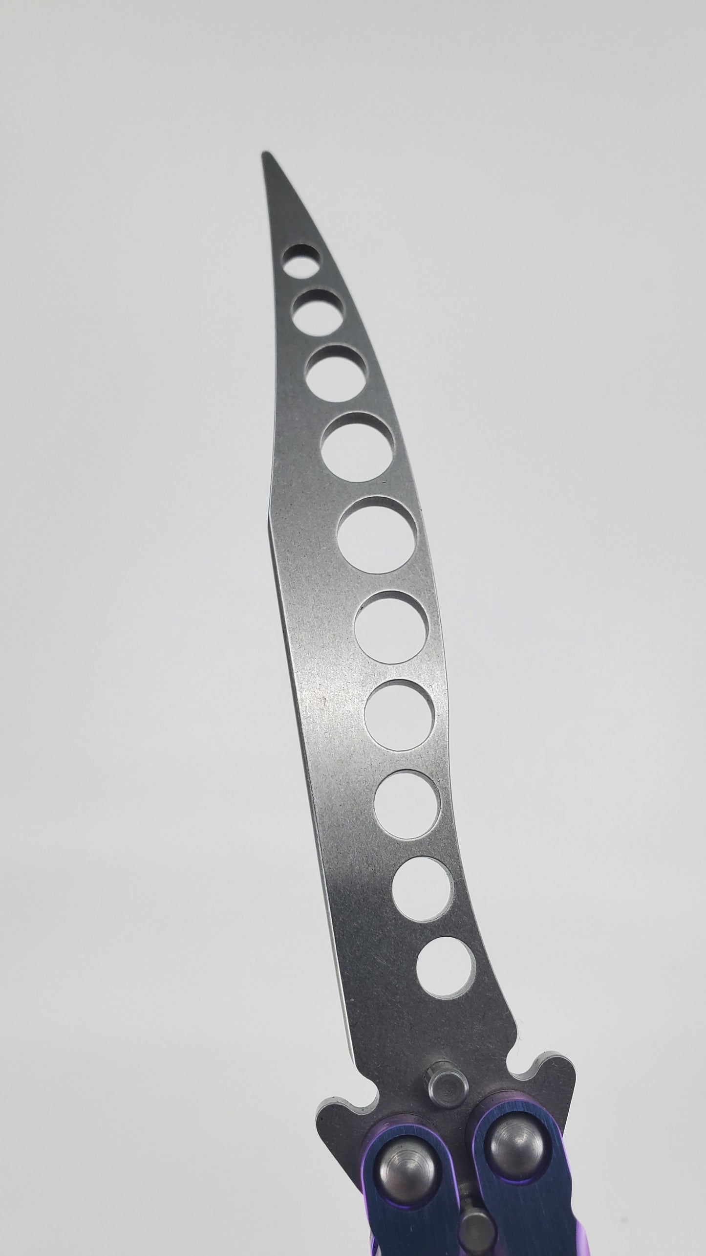 Hom Design Prodigy Trainer Mod. C