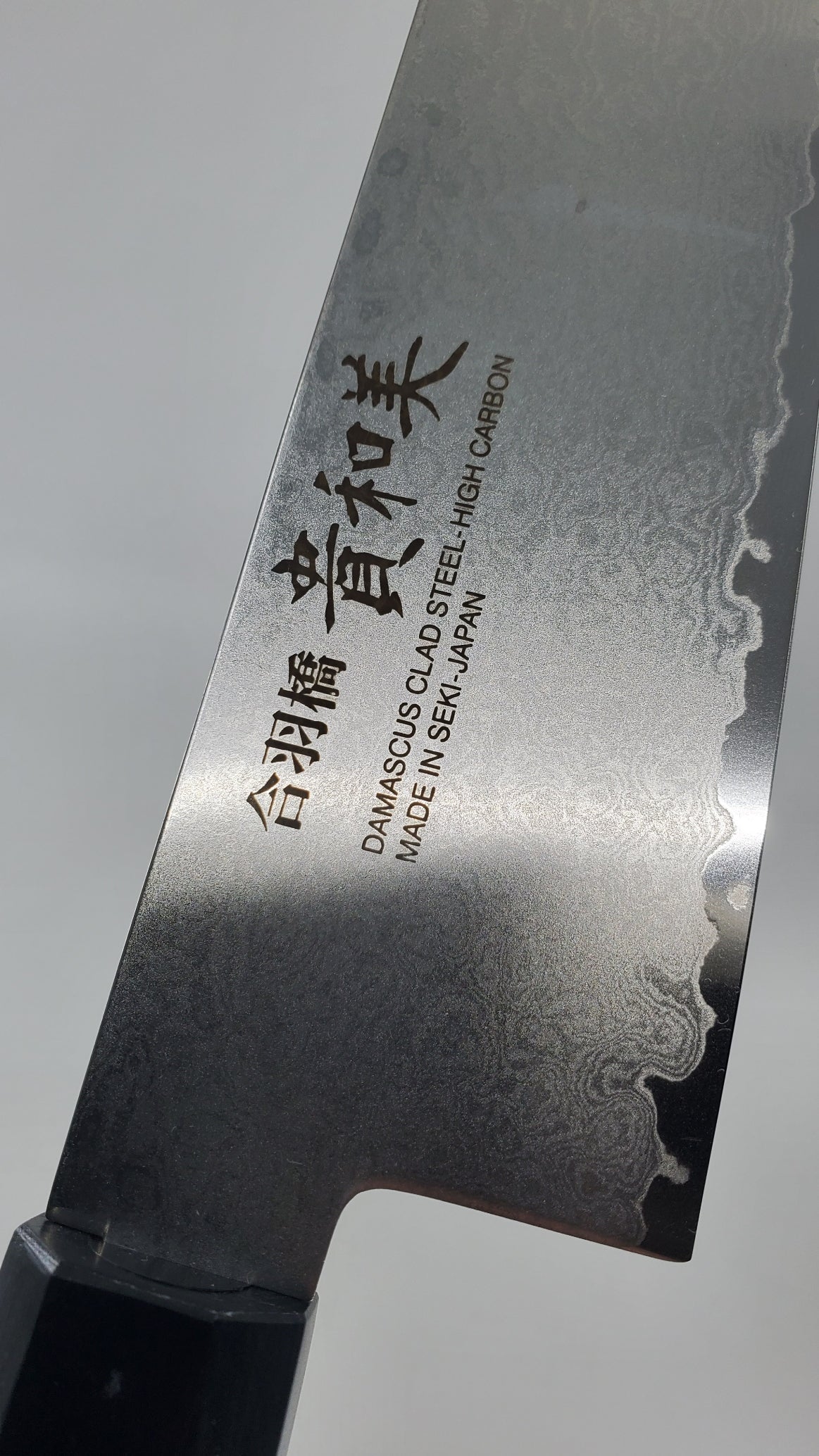 Kiwami Japanese Kitchen Knife Damascus 8A Chef's Knife 210mm