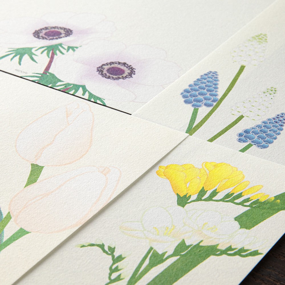 Midori Spring Flower White Letter Pad Four Designs