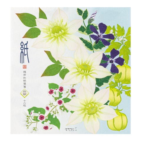Midori Letter Pad 169  Four Designs Summer Flower S4
