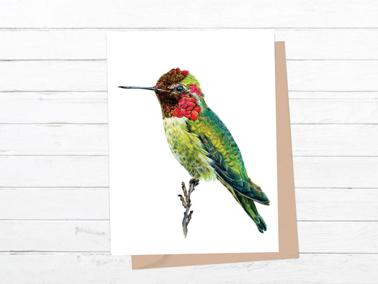 Anna's Hummingbird Greeting Card