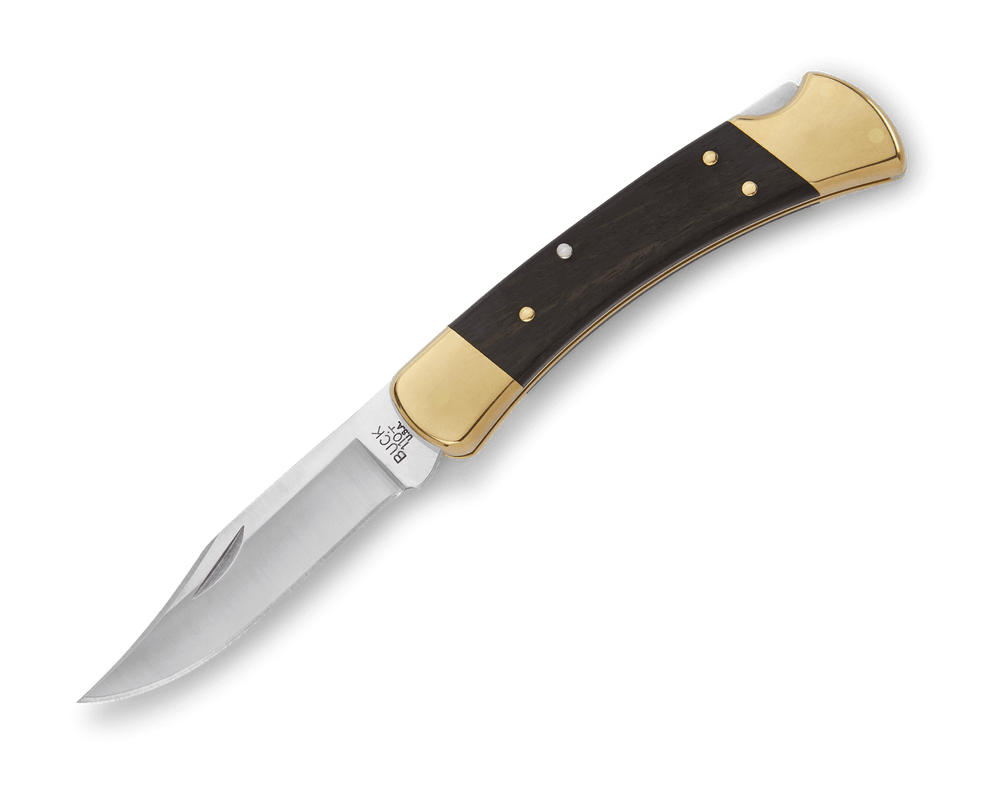 Buck Knives 110 Folding Hunter Back Lock Knife