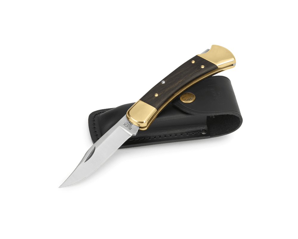 Buck Knives 110 Folding Hunter Back Lock Knife