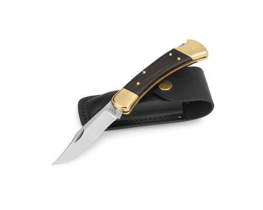 Buck Knives 110 Folding Hunter Back Lock Knife