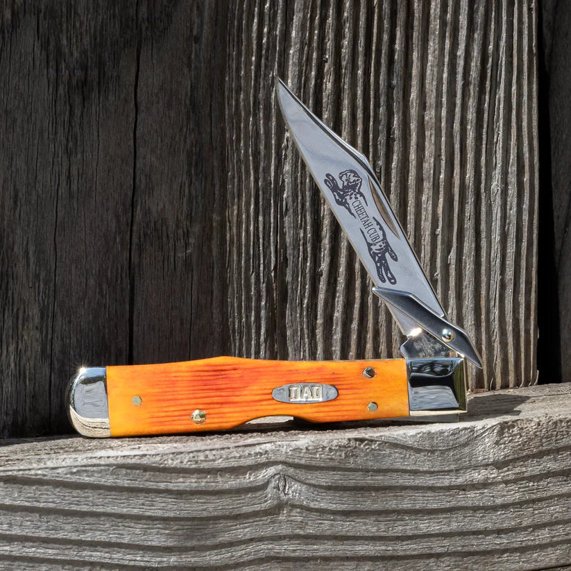 Case Knives Father's Day Barnboard Jig Tequila Sunrise Bone Cheetah® Cub pocket knife