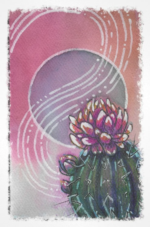 Penchetta Postcard Collection