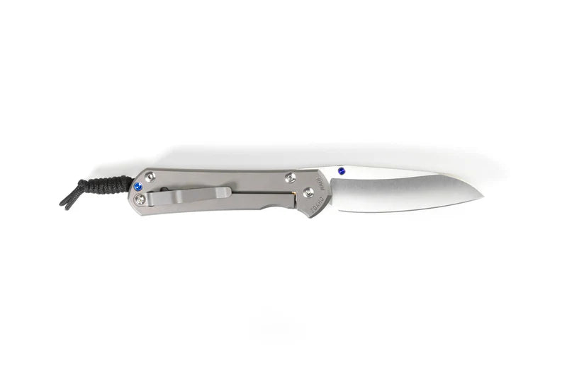 Chris Reeve Knives Large Sebenza 31 Plain Insingo Frame Lock Folding Knife