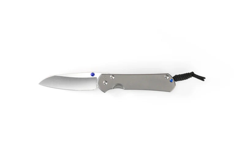 Chris Reeve Knives Large Sebenza 31 Plain Insingo Frame Lock Folding Knife