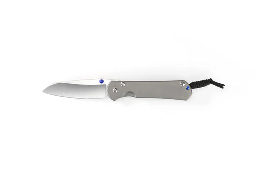 Chris Reeve Knives Large Sebenza 31 Plain Insingo Frame Lock Folding Knife