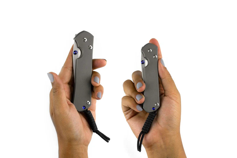 Chris Reeve Knives Sebenza 31 Plain Drop Point