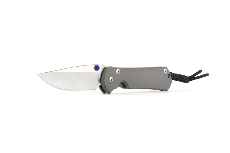 Chris Reeve Knives Sebenza 31 Plain Drop Point