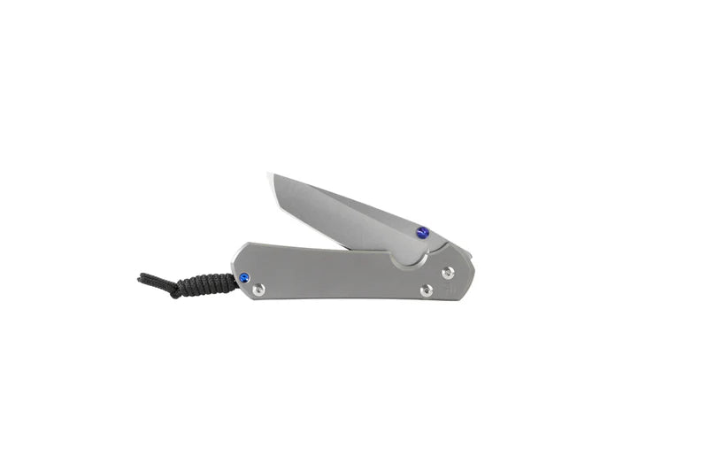 Chris Reeve Knives Large Sebenza 31 Plain Tanto