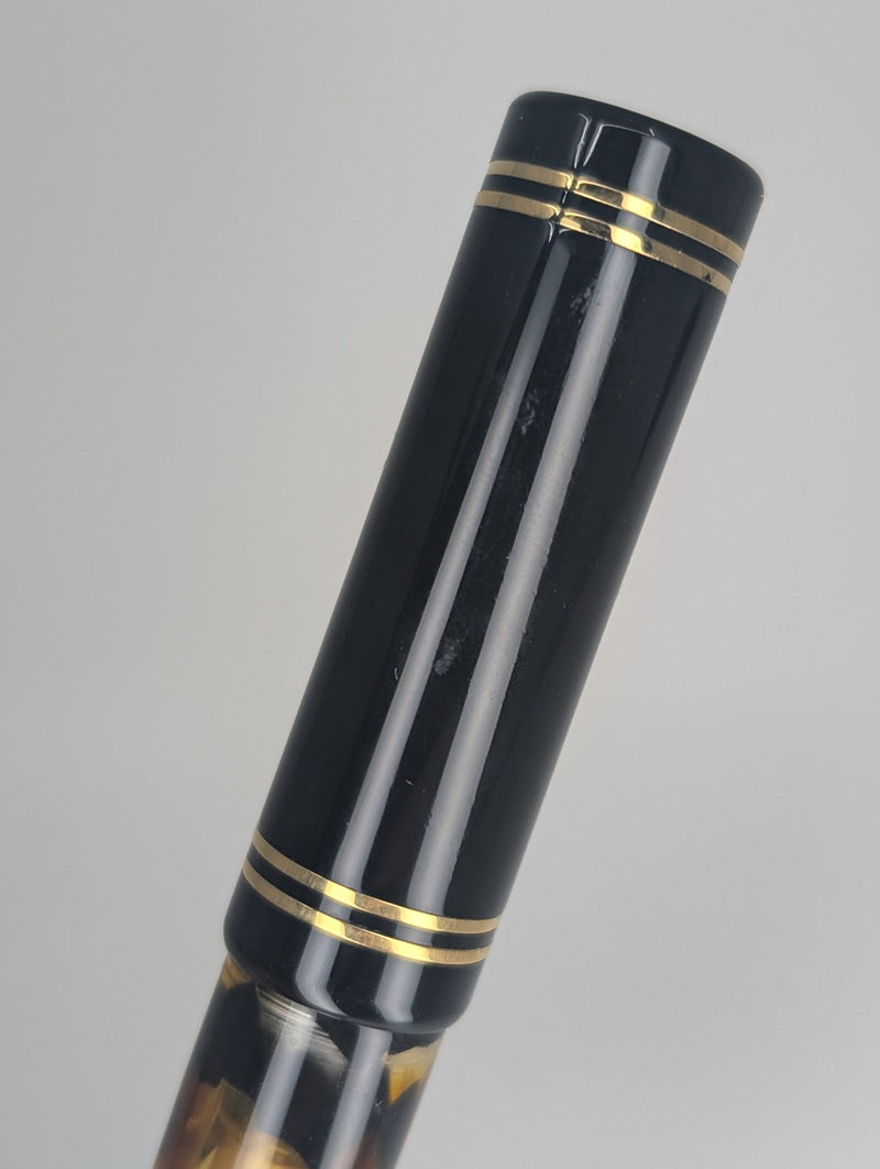 *Consignment* Delta Limited Edition "Fall" Windows Demonstrator Fountain Pen 18k Gold Medium Nib