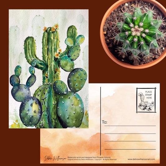 Cactus illustration, potted cactus, and postcard with cactus design Original Art by Joshua by Oak