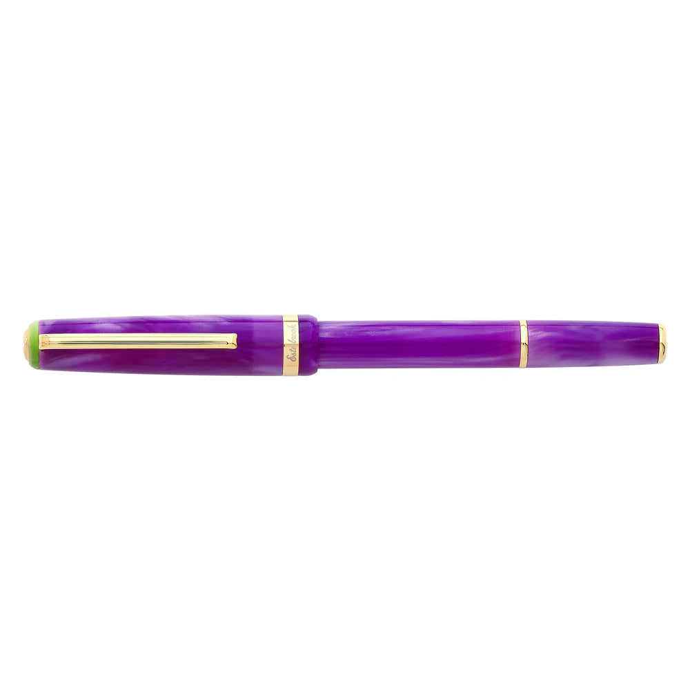 Esterbrook JR Paradise Purple Passion Fountain Pen Medium Nib