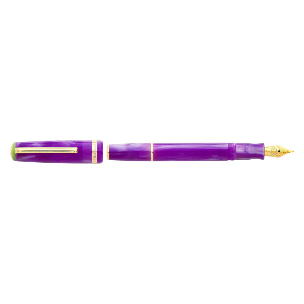 Esterbrook JR Paradise Purple Passion Fountain Pen Medium Nib