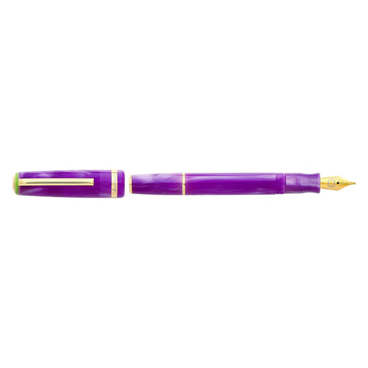 Esterbrook JR Paradise Purple Passion Fountain Pen Medium Nib