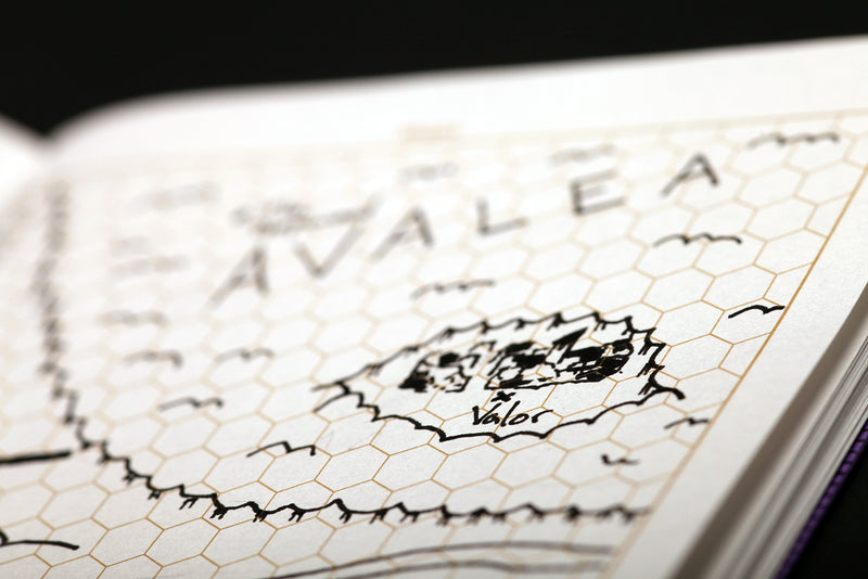 Field Notes Dungeons & Dragons 5E Game Master Journal 2pk