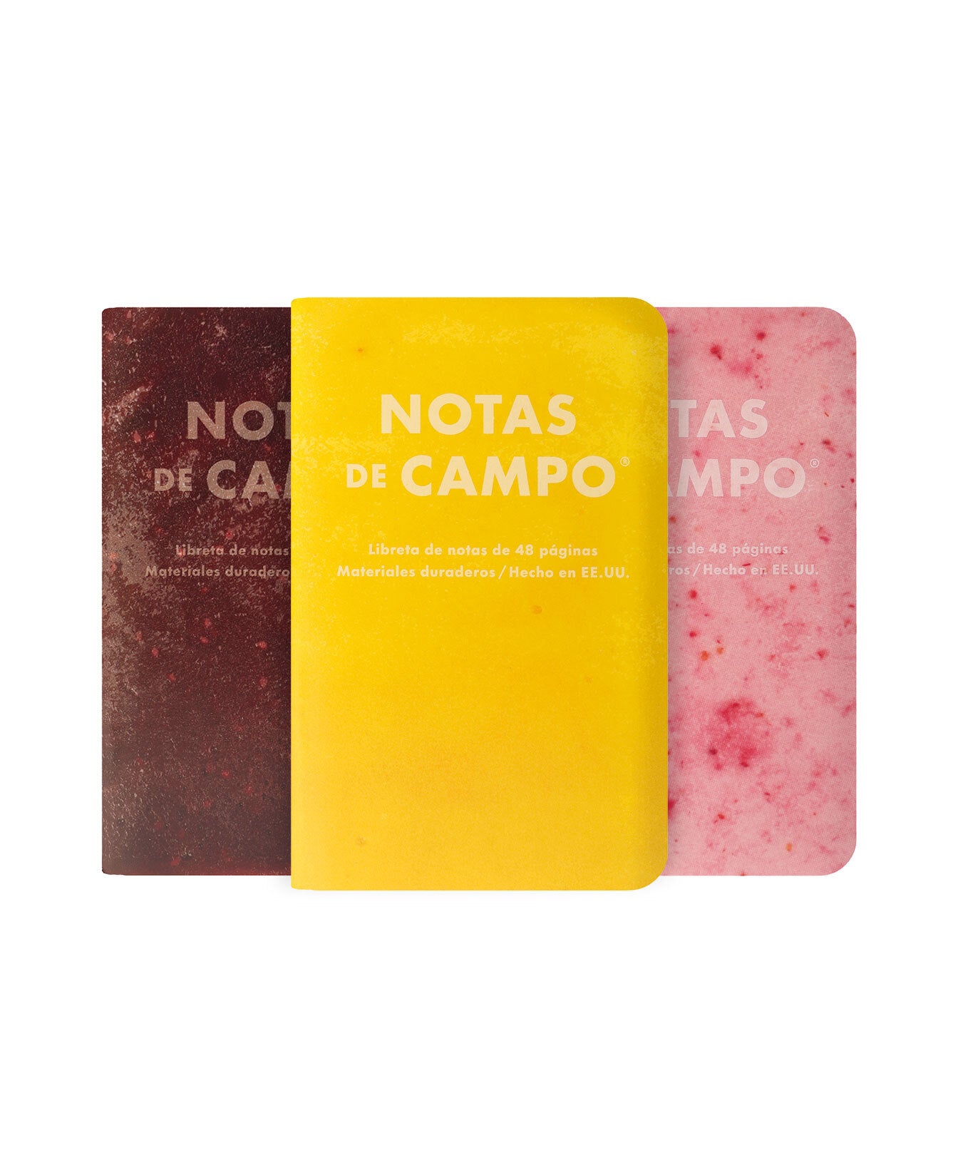 Field Notes Paletas (popsicles): Notas de Campo