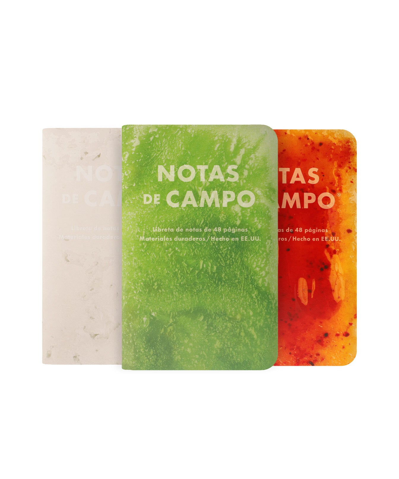 Field Notes Paletas (popsicles): Notas de Campo