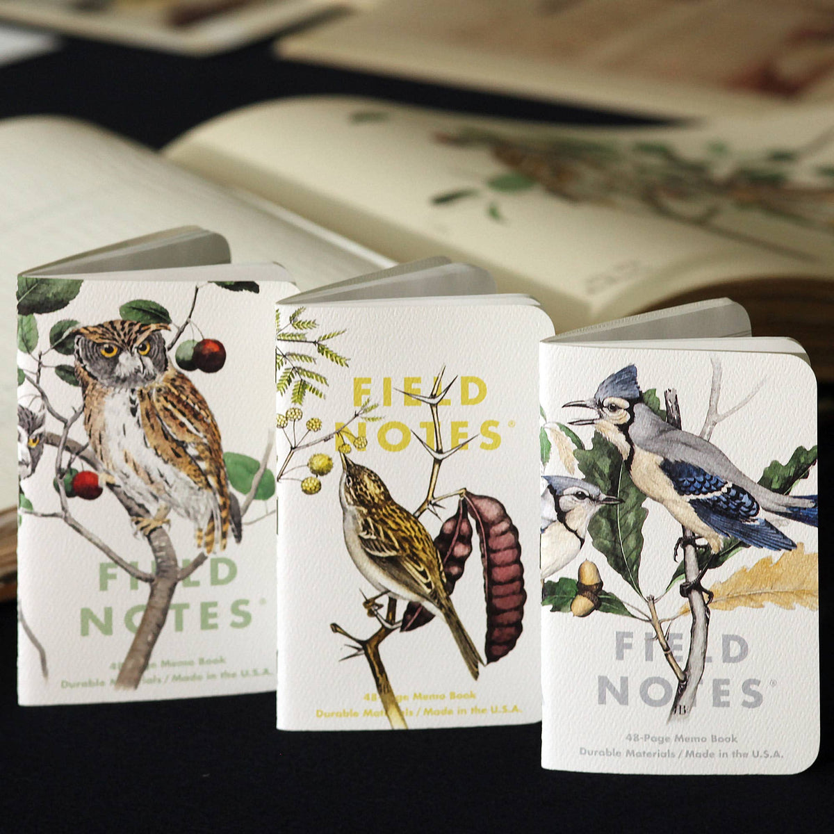 Field Notes For Birds Examples Field Notes Birds and Trees of North America – Penchetta