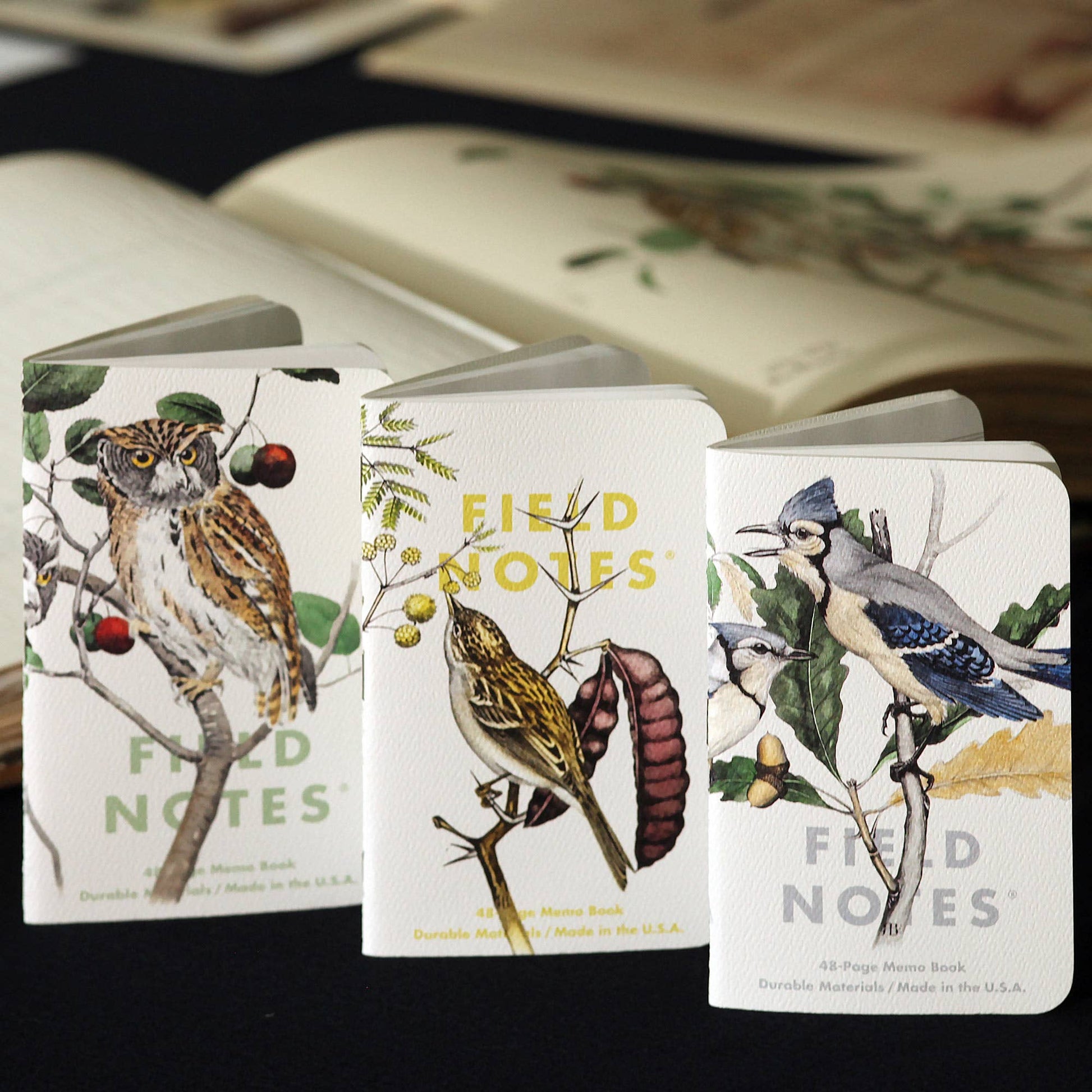 Three 'Field Notes' notebooks with bird illustrations. Rocky Mountain and Mexican Screech Owls , Blue Jay , Brewer Sparrow